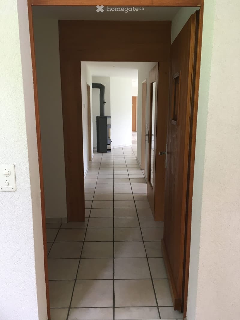 tiled floor, wooden doors, fireplace in the distance