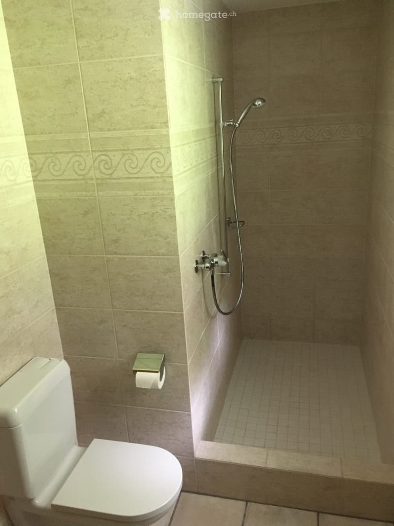 Bathroom with a toilet, shower, and tiled walls and floor.