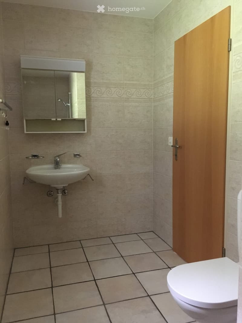 small bathroom with white sink, mirror, wooden door, white toilet