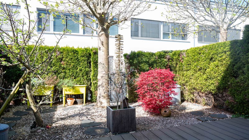 small garden with gravel, plants, trees, wooden deck, yellow table, trash can