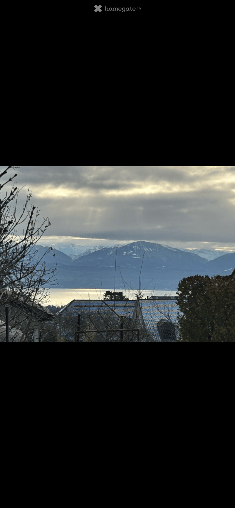 A view of a garden with a lake and mountains in the background