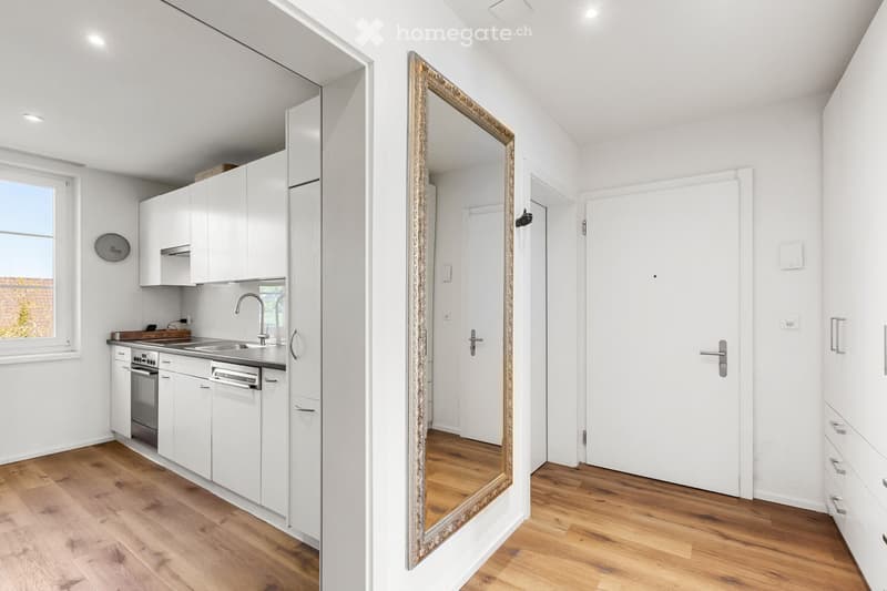 modern kitchen with white cabinets, wooden floor, stainless steel sink, dishwasher, washing machine, large mirror