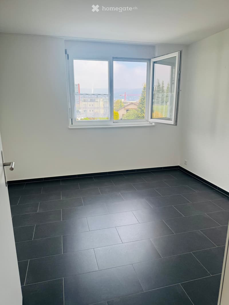 empty room, white walls, black tiles, large window, city view