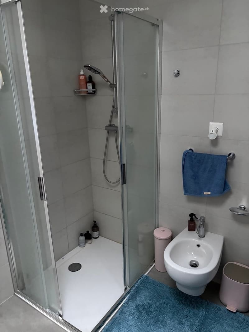 Modern bathroom with shower, sink, and toilet. Tiled walls and floor, shower with glass door, white sink, and pink toilet. Towel rack with blue towel.