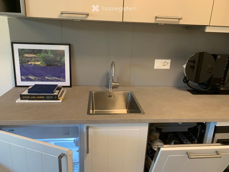 modern kitchen with stainless steel sink, dishwasher, refrigerator, and a countertop with books