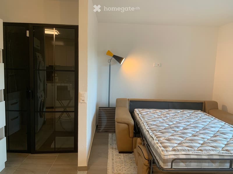 A room with a couch, a bed, a lamp, and a washing machine in the background.