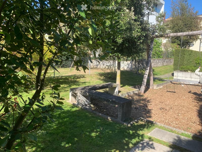 A garden with a swing, a bench, and a tree.
