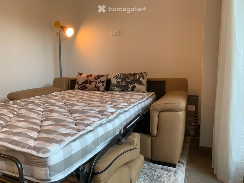 A convertible sofa bed with a mattress, two decorative pillows, a floor lamp, and a rug.