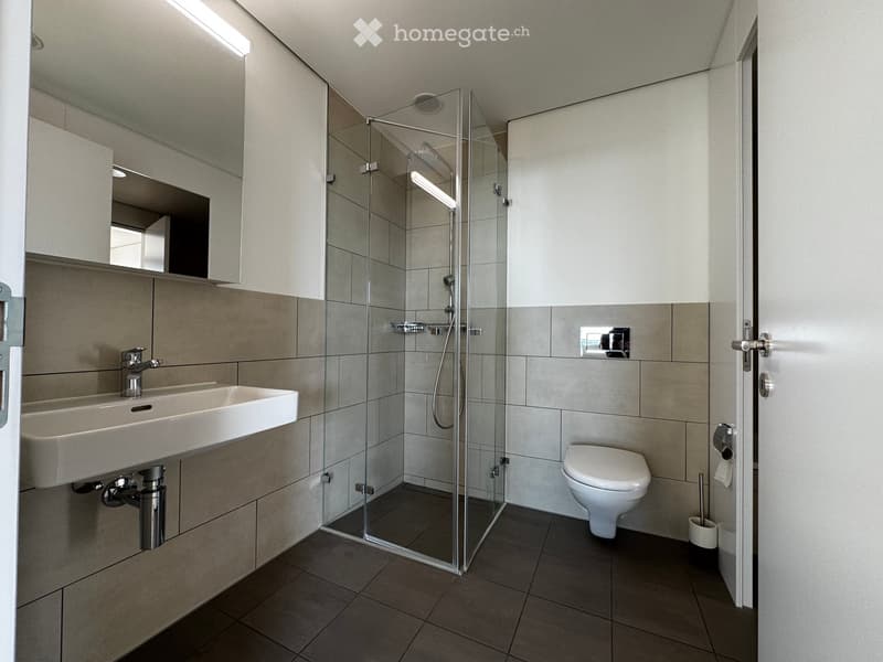 Modern bathroom with a white sink, chrome faucet, glass-enclosed shower, and a white toilet. Features a large mirror above the sink and a sleek, contemporary design.