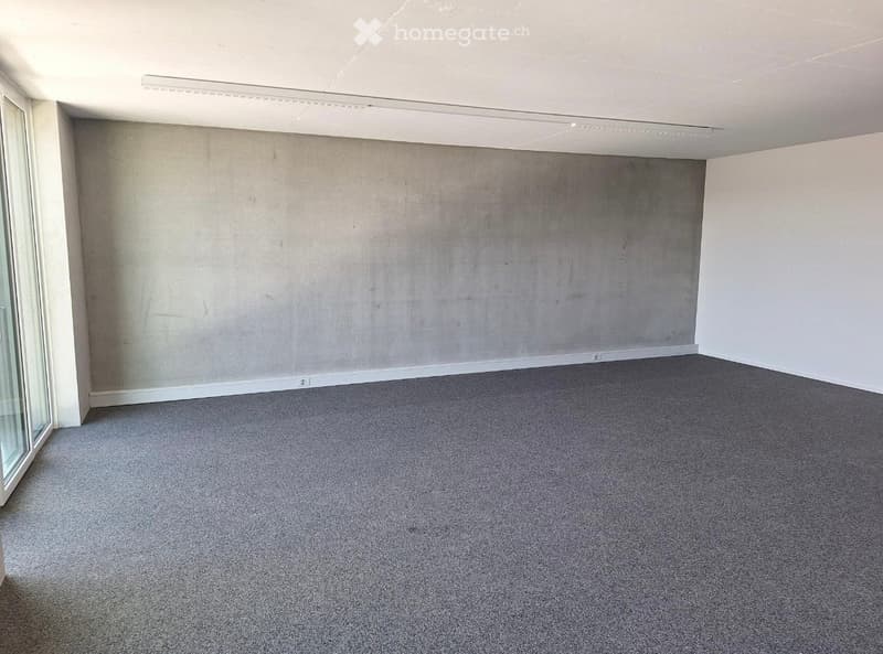 empty room, gray carpet, white walls, glass door, ceiling light