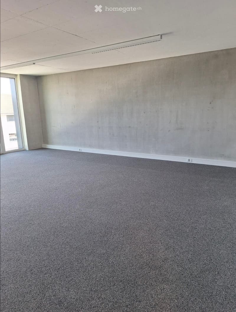 empty room, gray carpet, white walls, glass door, ceiling lights