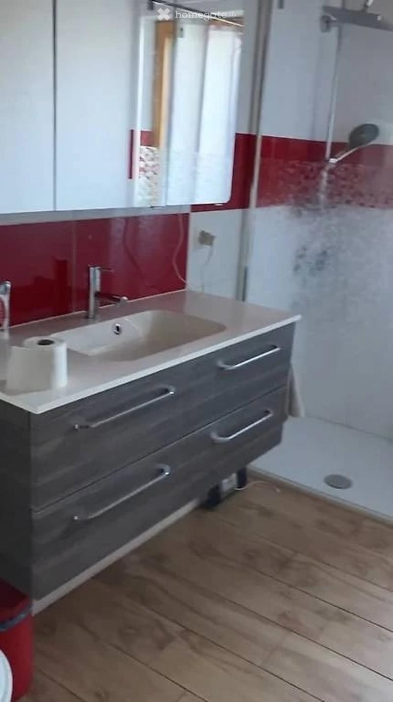 Bathroom with a sink, mirror, and shower stall. Wooden floor and red and white wall.