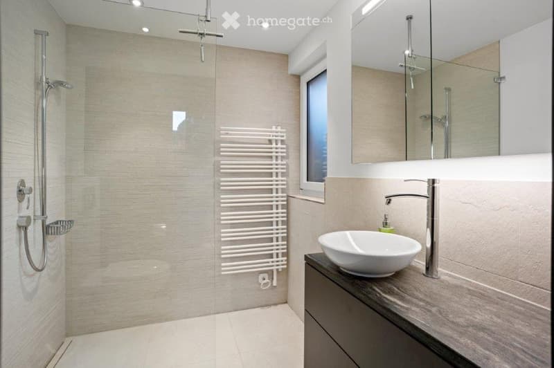 modern bathroom with shower, sink, mirror, and towel rack