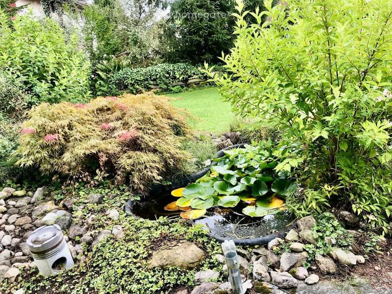 Small garden with a pond, surrounded by rocks and plants, with a grassy lawn in the background.