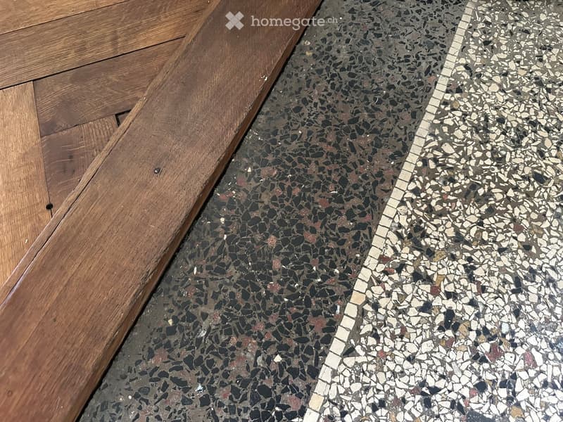 Close-up view of a transition between a wooden floor and a mosaic tile floor, with a white grout line separating the two surfaces.