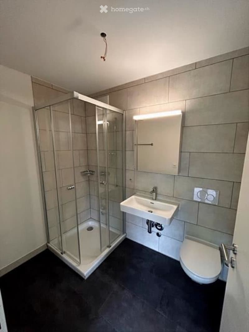 modern bathroom with shower, sink, toilet, and mirror