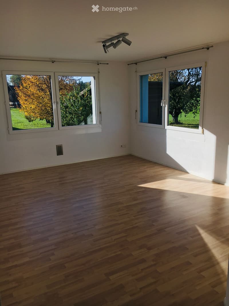 empty room, wooden floor, white walls, three windows, ceiling lights