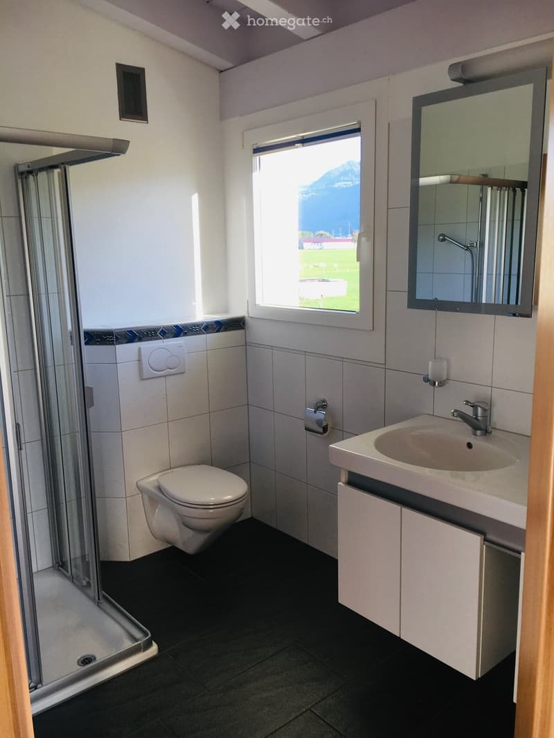 Bathroom with shower, toilet, sink, mirror, and window