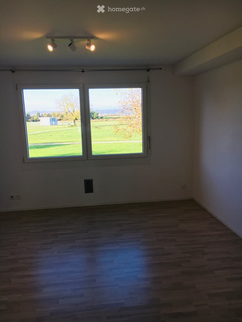 empty room, large window, wooden floor, white walls, ceiling lights