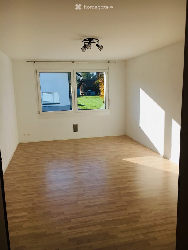 empty room, wooden floor, white walls, large window, ceiling lamp