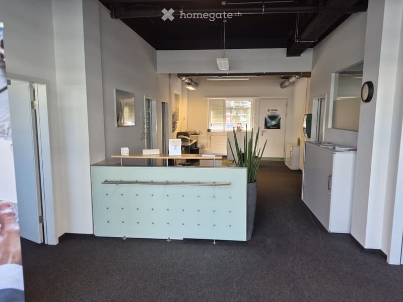 Reception desk, potted plant, office chairs, office equipment, white walls, carpeted floor, clock on wall