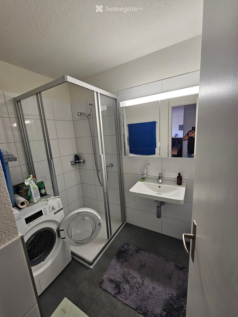 Bathroom with shower, sink, mirror, and washing machine