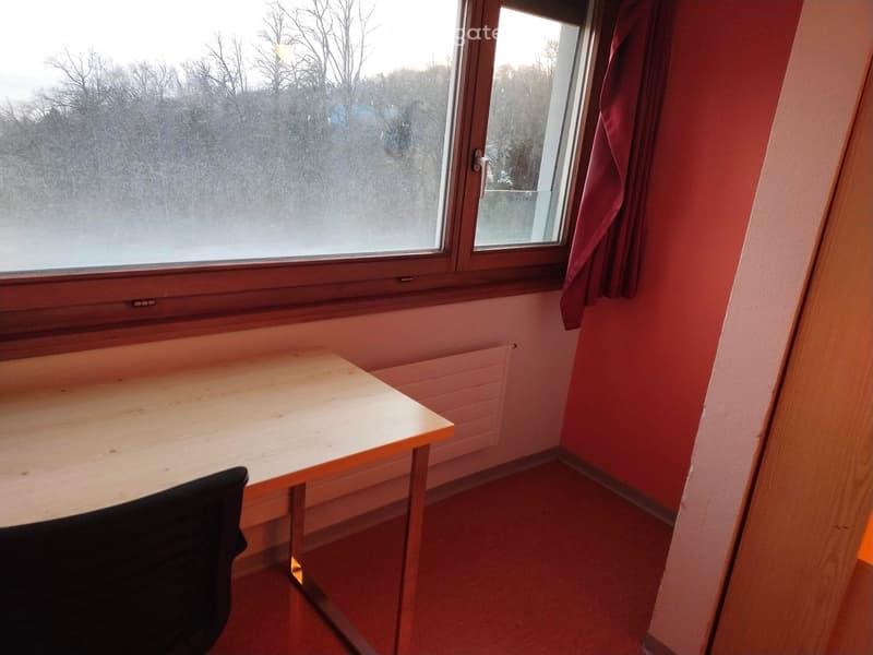small room with desk, chair, window, radiator, red carpet