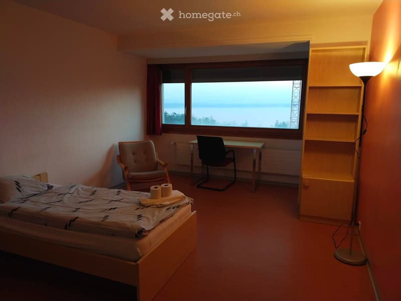 Single bed, chair, desk, lamp, bookshelf, window with view