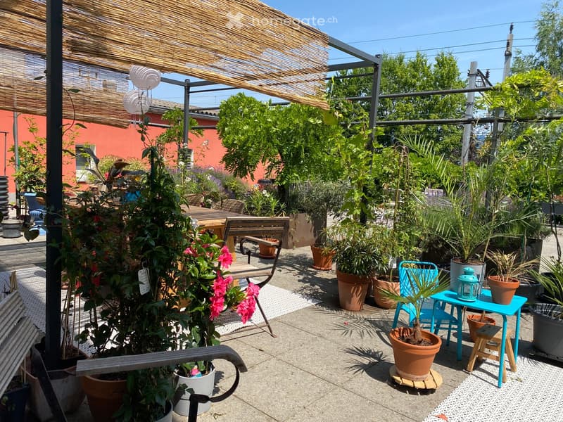 Outdoor area with plants, trees, and a wooden table, chairs, and a blue table, covered by a bamboo pergola, with a view of the surrounding area.