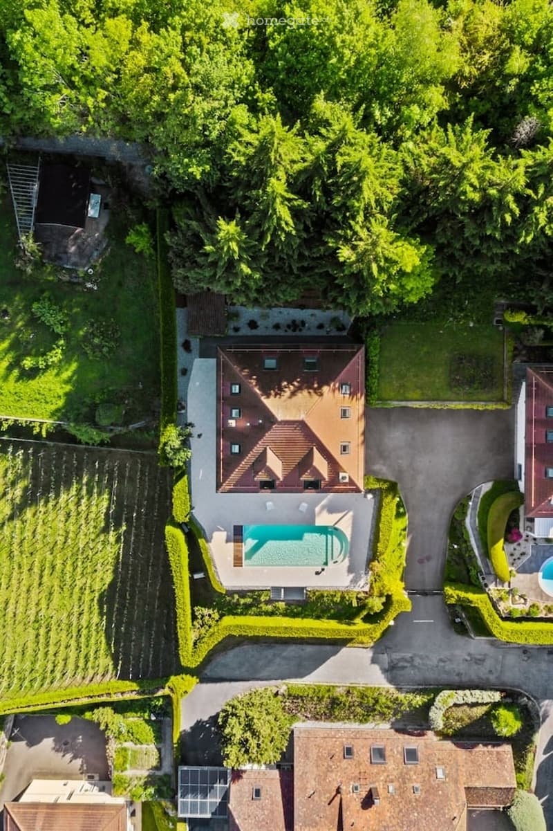 Aerial view of a house with a swimming pool, surrounded by greenery and trees, with a driveway leading to it.