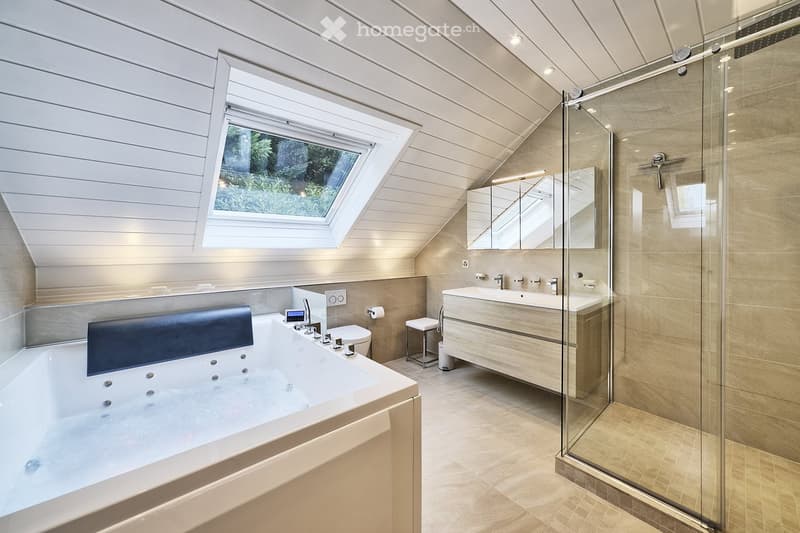 large bathtub, glass shower, vanity with sink, mirror, skylight, toilet, toilet paper holder