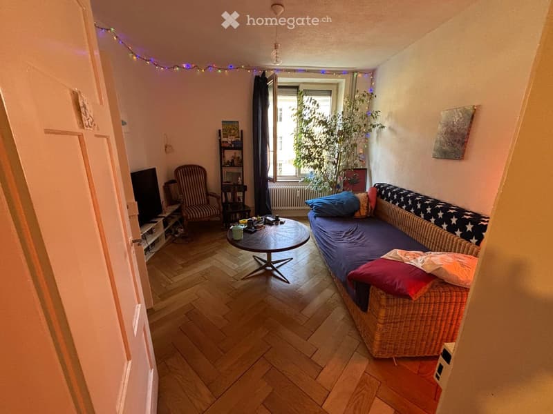 Living room with wooden floor, couch, coffee table, chair, TV, shelves, plant, decorative lights
