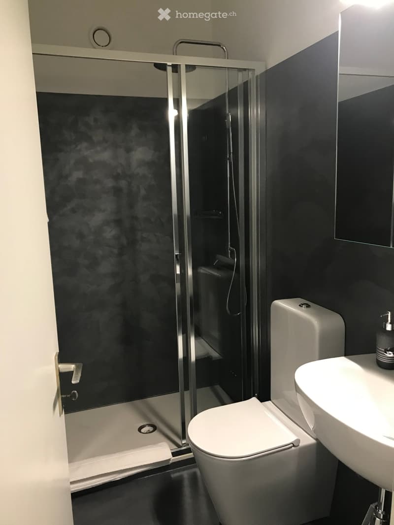 modern bathroom with glass shower, white toilet, white sink, black walls, silver fixtures