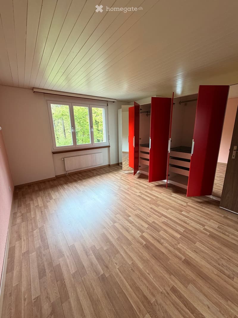 empty room, wooden floor, large window, red wardrobes, white ceiling, white walls