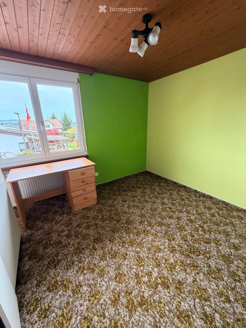 empty room, wooden desk, green wall, carpeted floor, large window, wooden ceiling