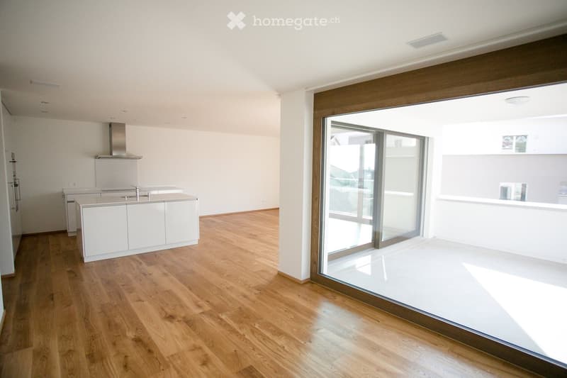 modern kitchen, wooden floor, large windows, balcony