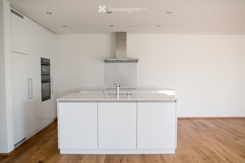 modern kitchen, white cabinets, wooden floor, stainless steel appliances, double oven, extractor hood