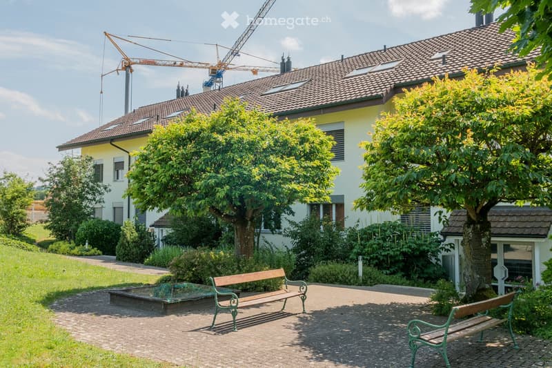 white house, brown roof, two cranes on top, two benches, trees, plants, grassy area