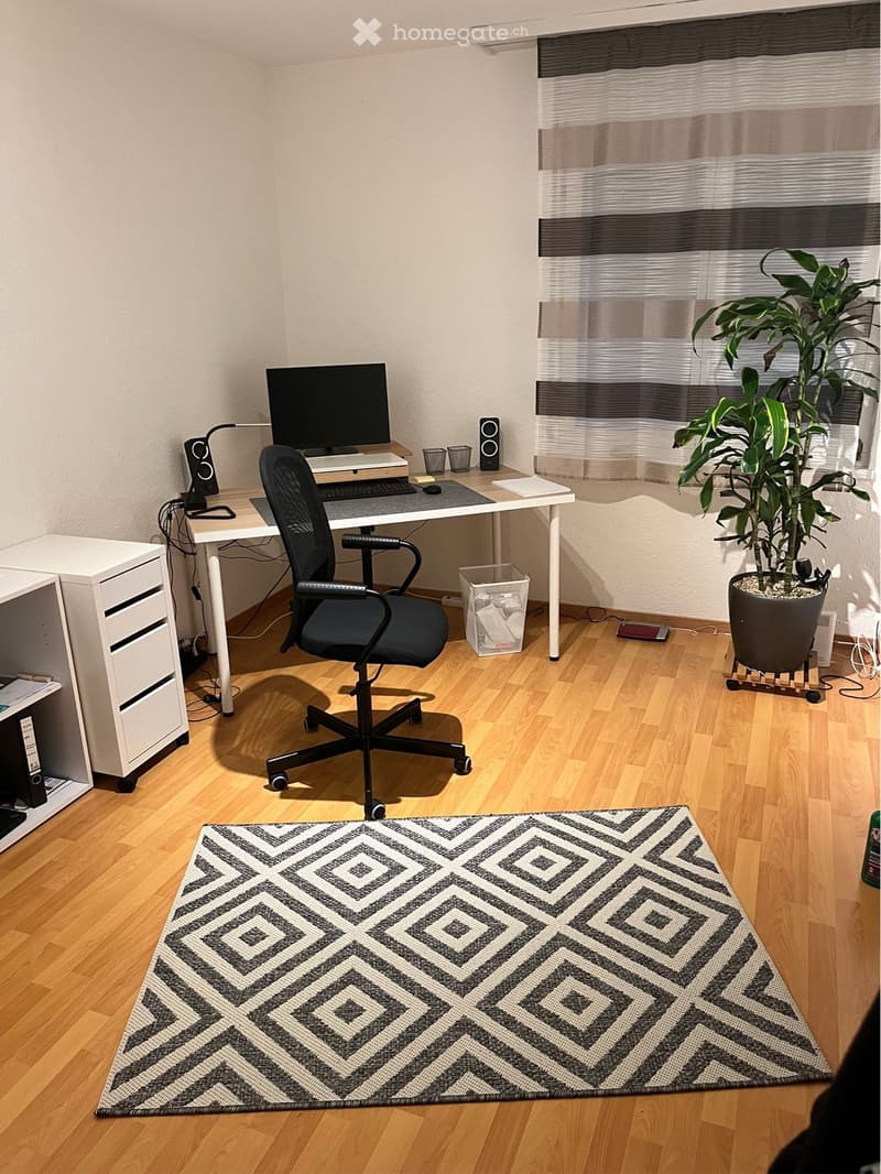 Office room with desk, chair, computer, speakers, and a potted plant.