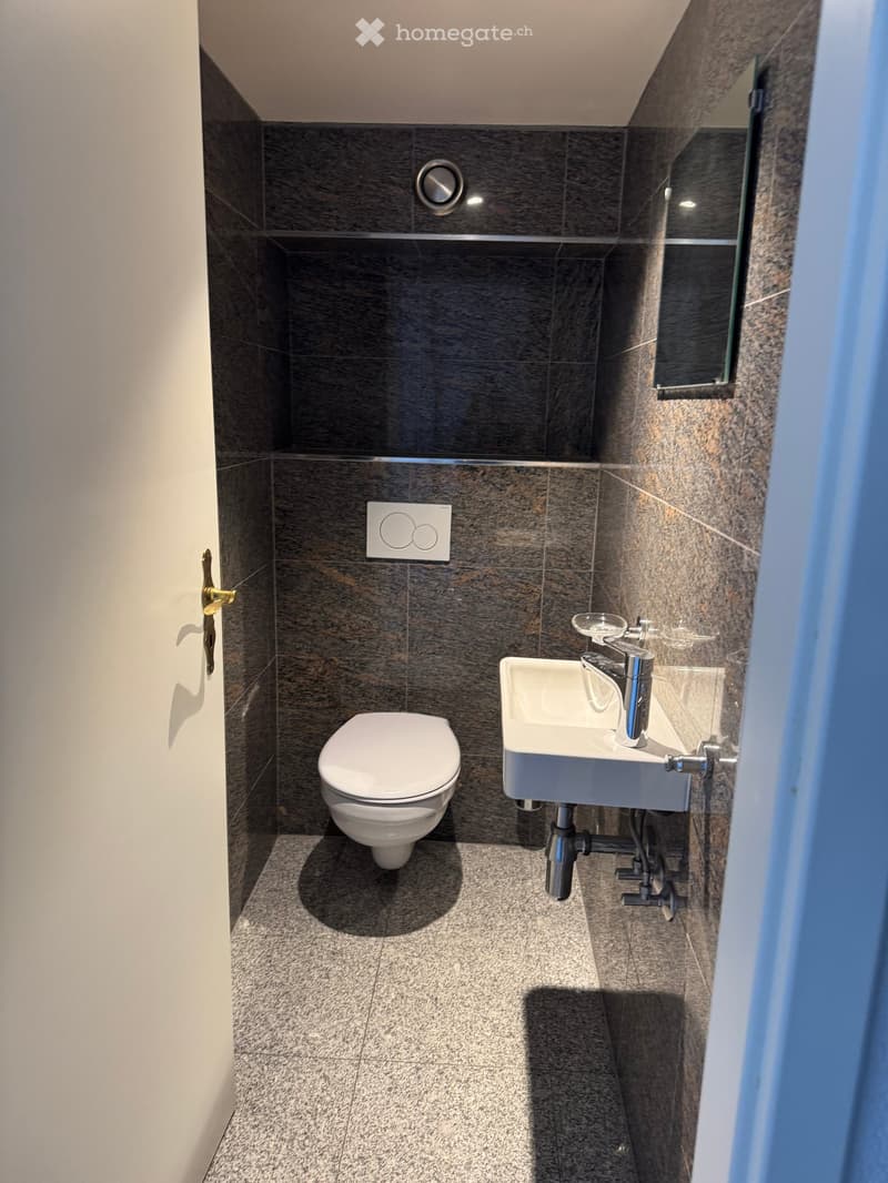 small bathroom with toilet, sink, and mirror