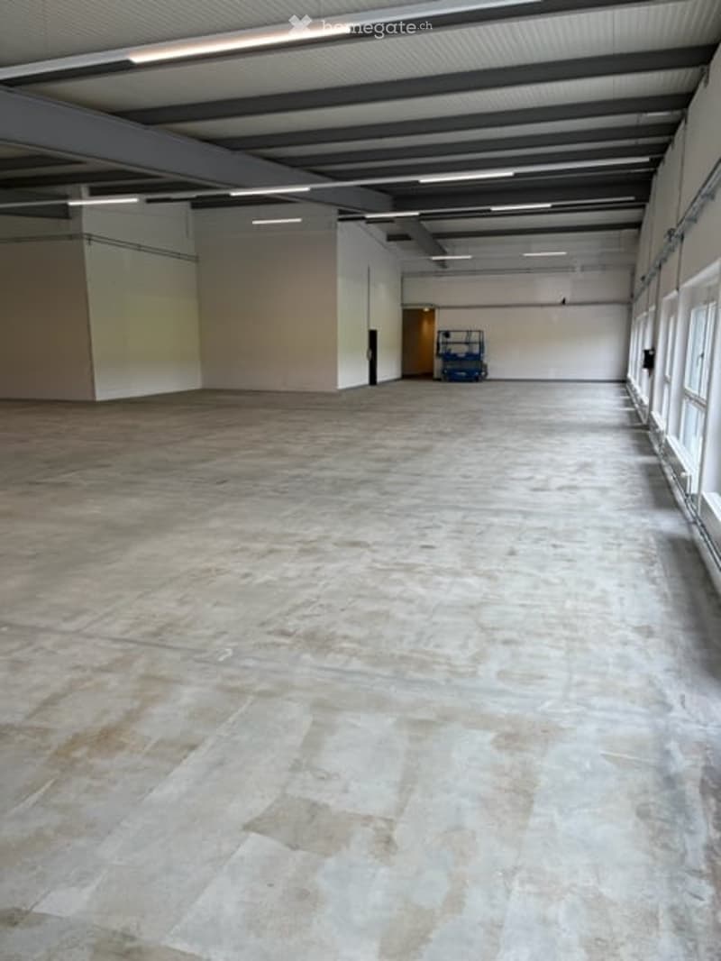Gewerbe / Industrie in Oberrüti AG (15)