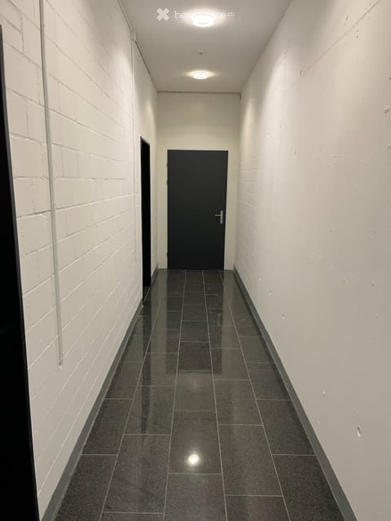 Gewerbe / Industrie in Oberrüti AG (21)