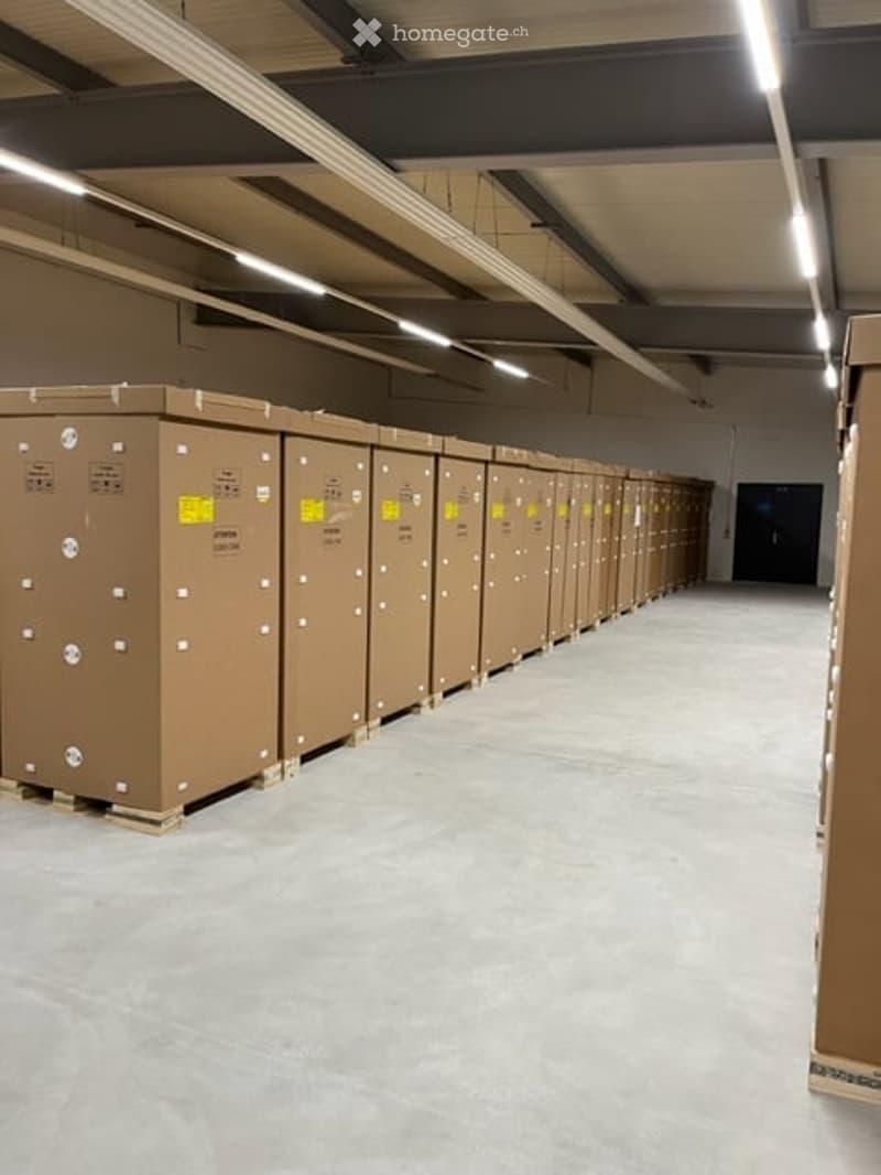 Gewerbe / Industrie in Oberrüti AG (16)