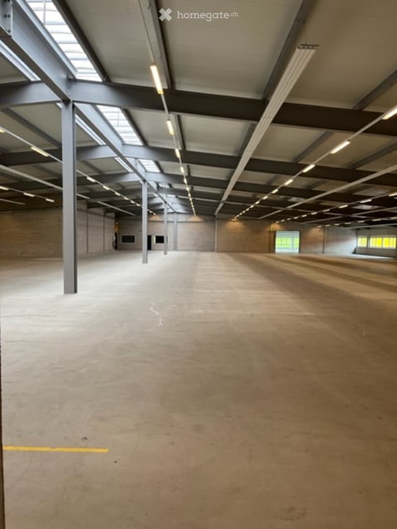 Gewerbe / Industrie in Oberrüti AG (10)