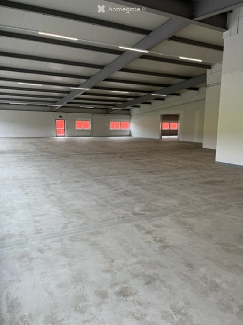 Gewerbe / Industrie in Oberrüti AG (14)
