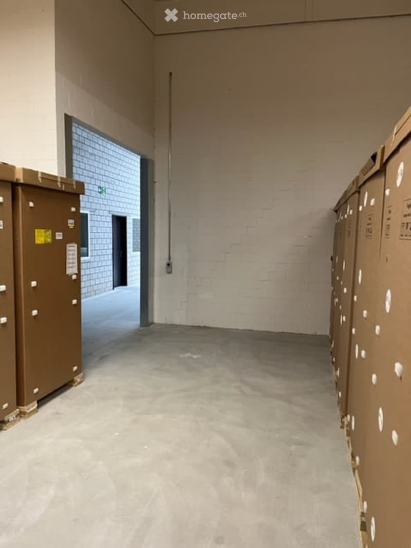 Gewerbe / Industrie in Oberrüti AG (17)