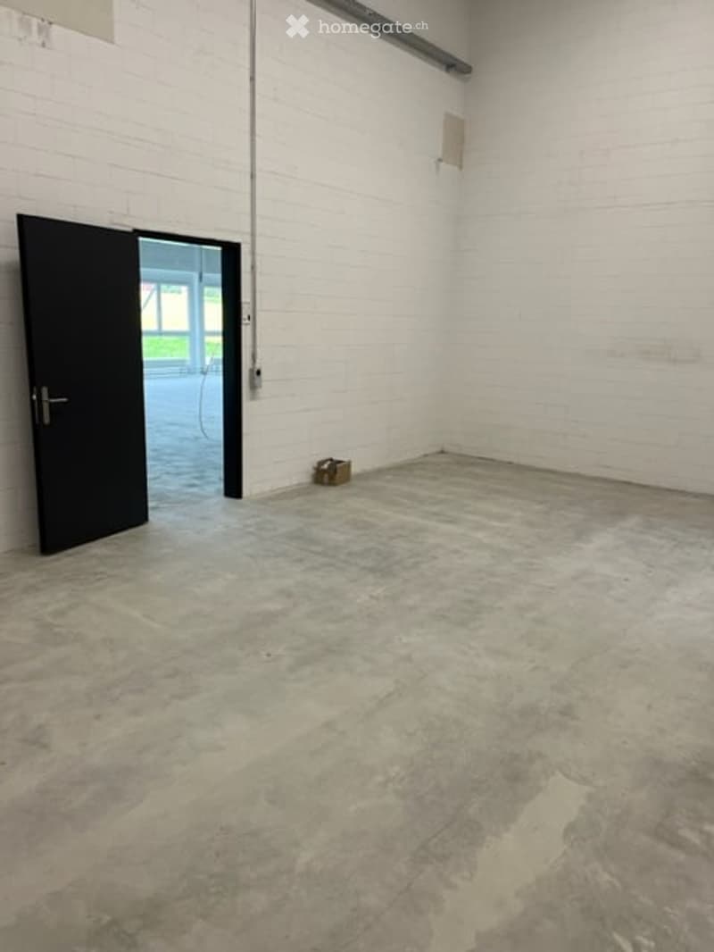 Gewerbe / Industrie in Oberrüti AG (12)