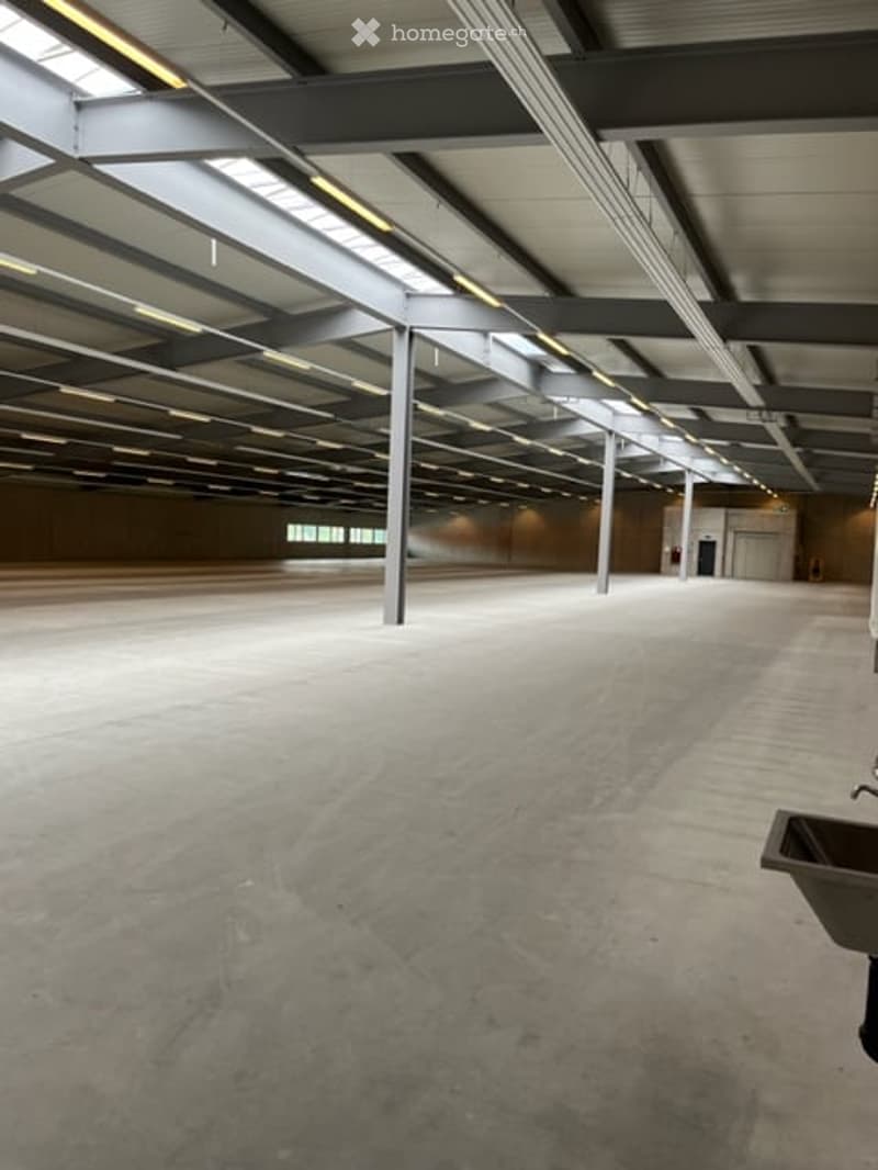 Gewerbe / Industrie in Oberrüti AG (6)