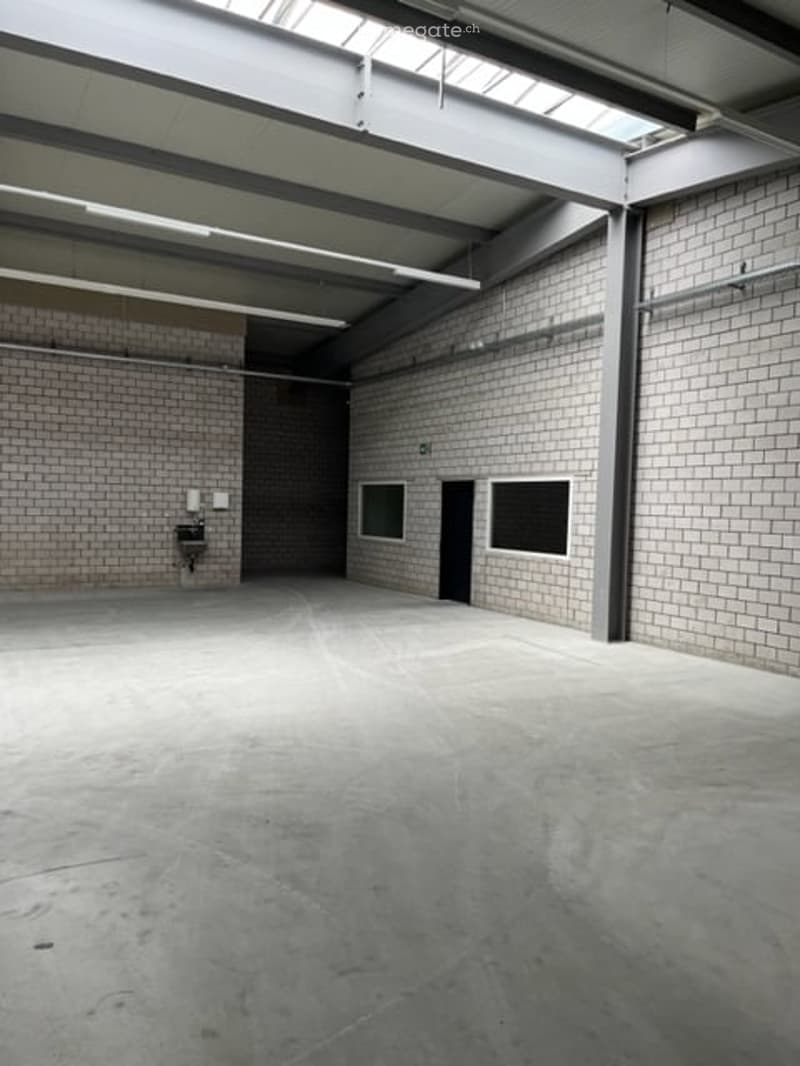 Gewerbe / Industrie in Oberrüti AG (5)
