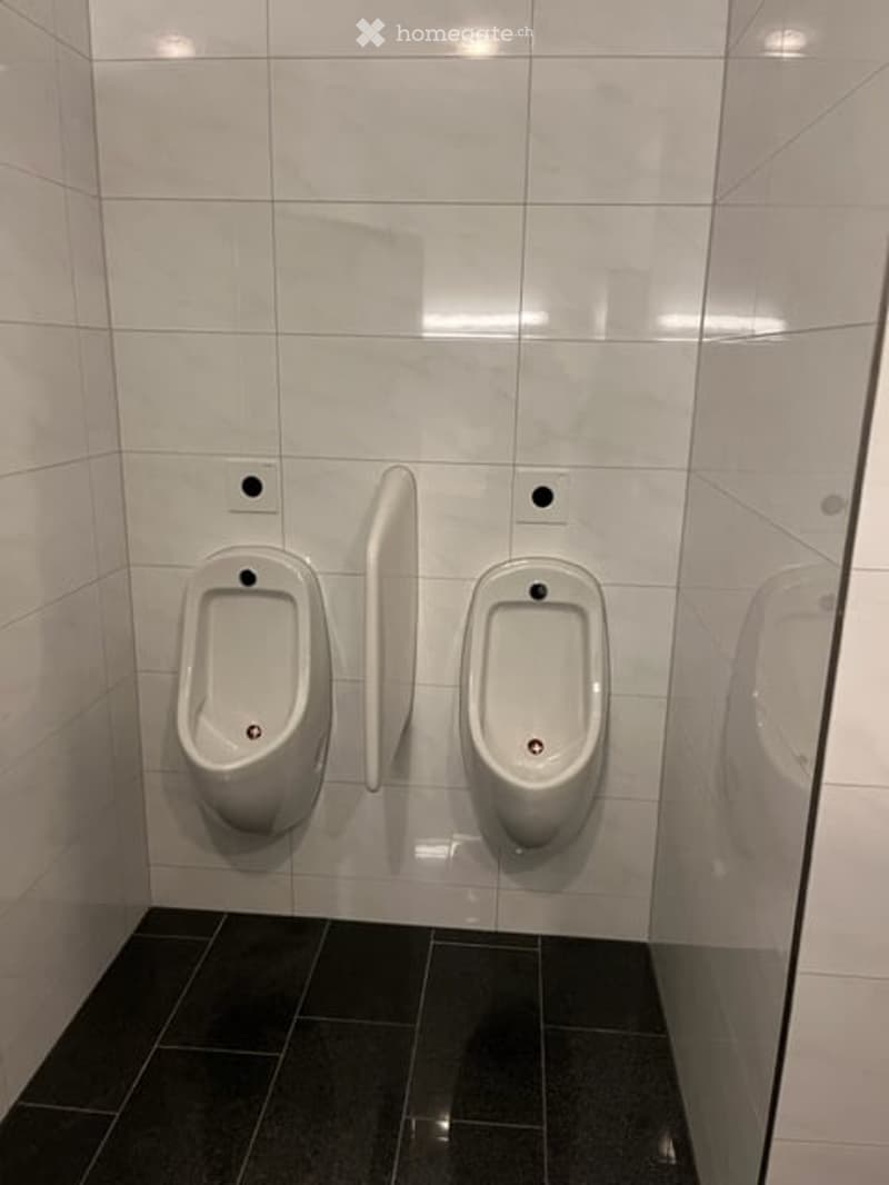 Gewerbe / Industrie in Oberrüti AG (22)